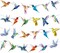 Hummingbird Party Banner Hummingbird Party Decorations 4Pcs Bird Birthday Decorations Hummingbird Cutout Banner for Flying Bird Hawaiian Luau